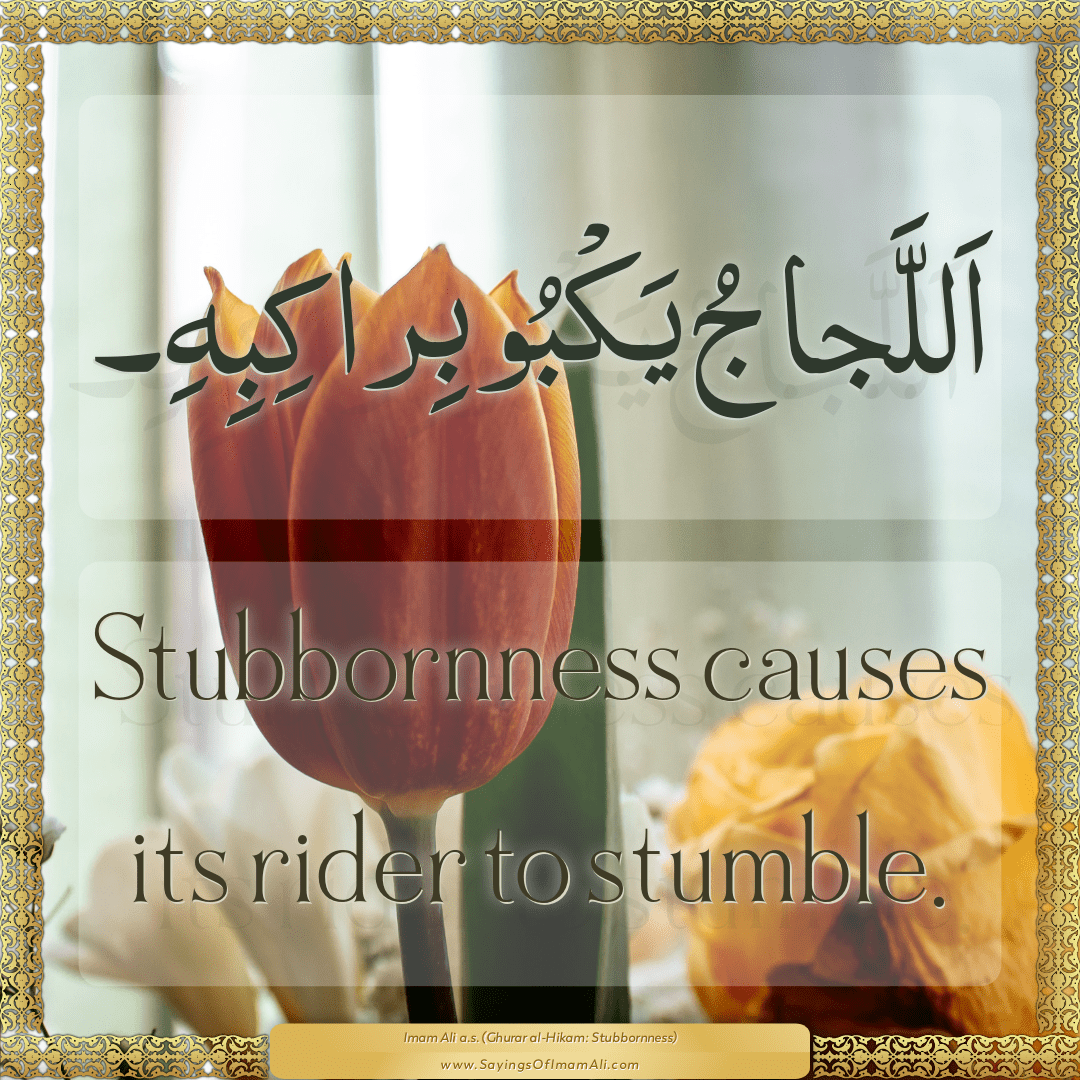 Stubbornness causes its rider to stumble.